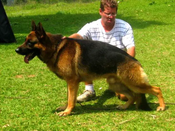 V Abo vom Holtkämper Hof