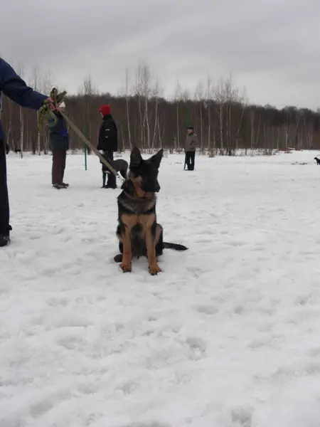 Krass Iz Doma Slavija