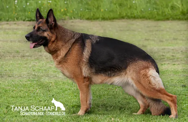 V Lucretia vom Uhlbachtal