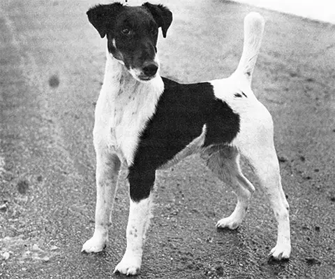 NORD CH INT CH NV-83 Bodils Älvkarl