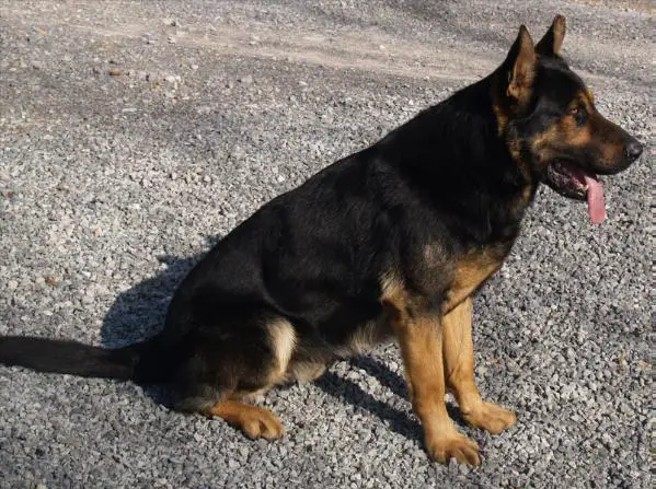 Blaz Von Der Phillips Familie