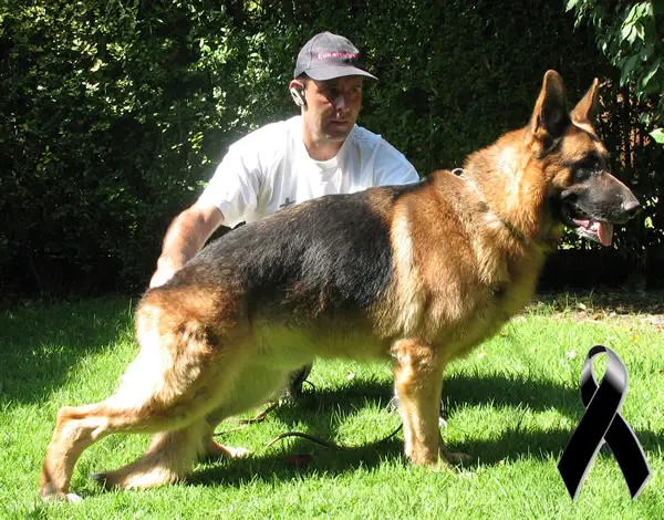 Polo Von Christianseen