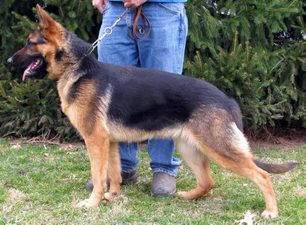 Khloe Von Rheinhardt