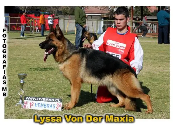 VA3, VA2 CHILE Lyssa Von Der Maxya