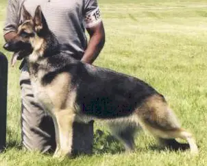 Sheerdeen Rhythm v. Bleibtreu