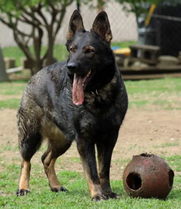 Raina von Barren Berg