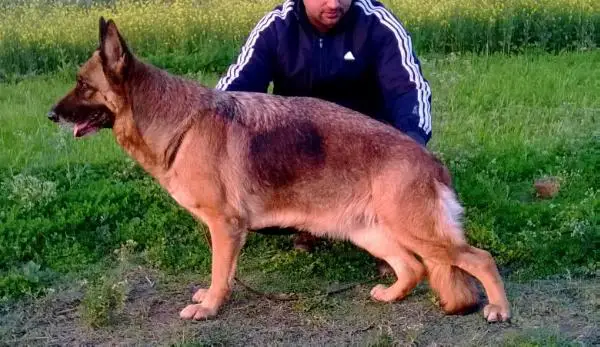 VP7(ISS)2010 Blitzhaus Vanta