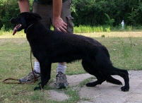 midnight rapsody of marybeck