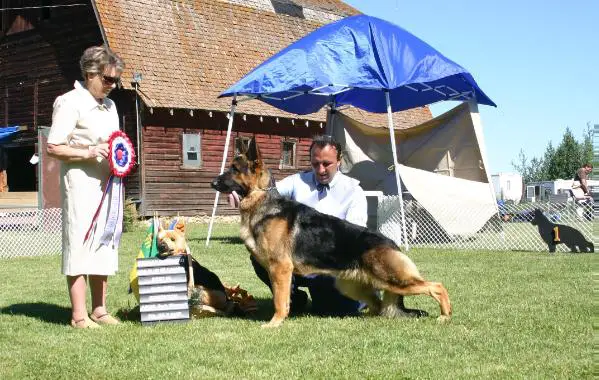 CH (US) Kenlyns Big Shot v Sunfarms