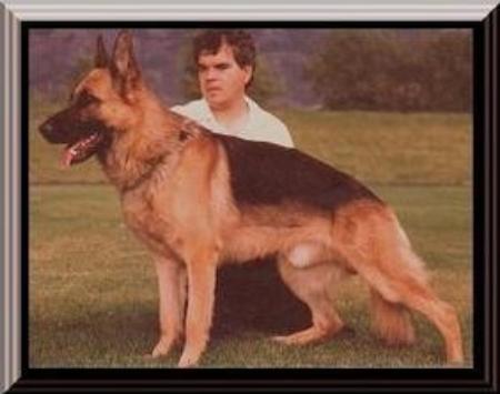 Kanto vom Steigerhof