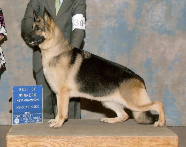 CH Seven Hills Remember Me