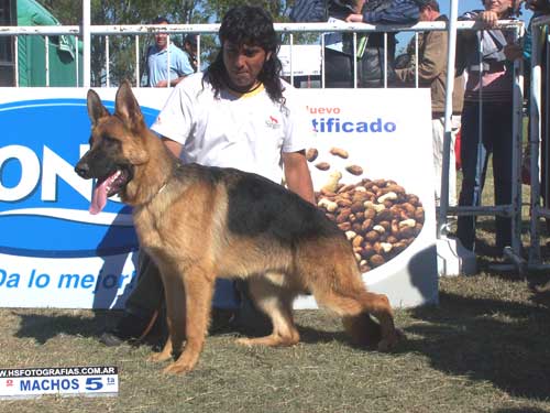 Bronzo Val Di Vara
