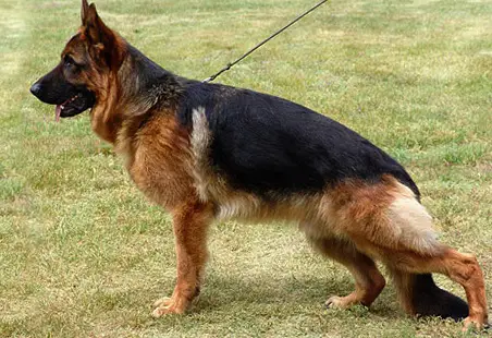 VA (BALTIC) Zearo vom Zellwaldrand