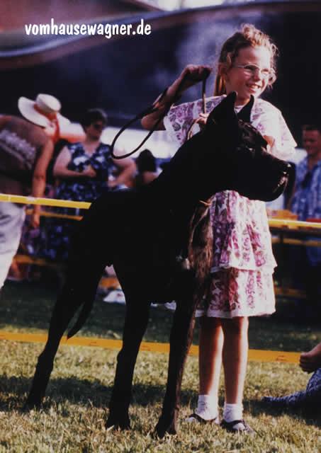 Hermionne D'ochretolievaltt