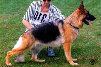 VA (FR) Jenie de la P'tite Flore