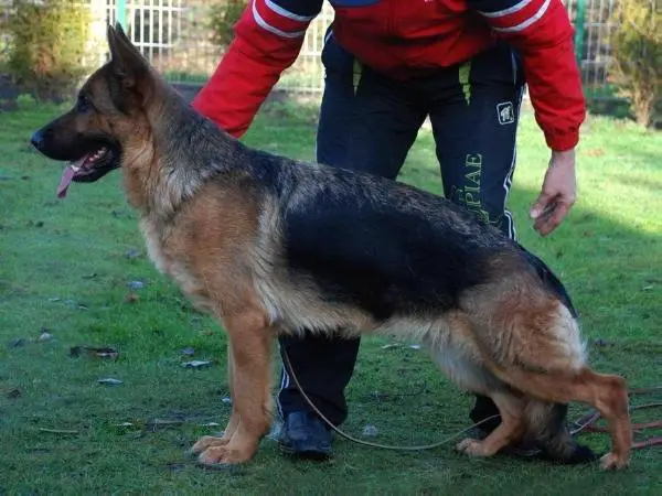 V Xana vom Streithahn