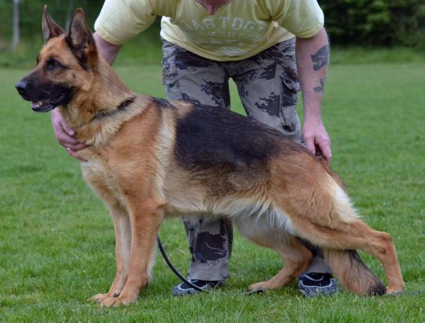 V Wanni von der Wilhelmswarte