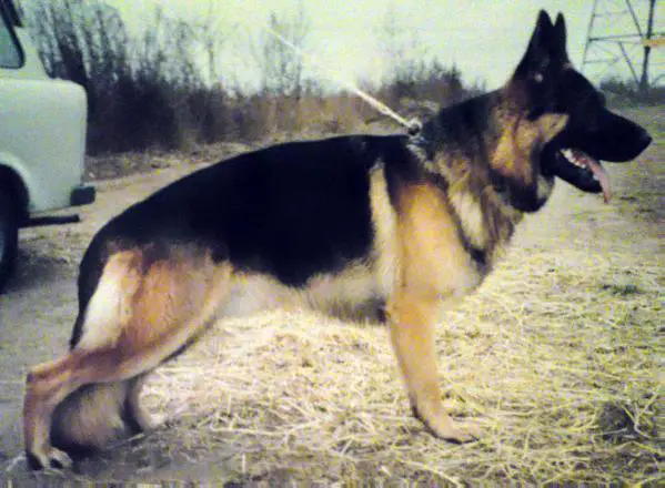 V Alag-Völgyi Formen