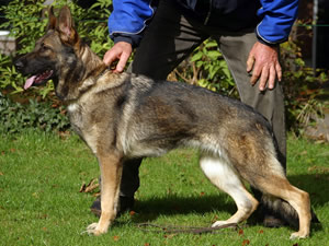 G Nadja van Tiekerhook