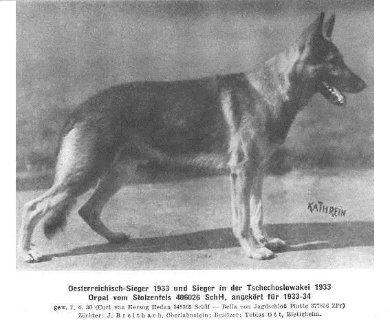 Orpal vom Stolzenfels