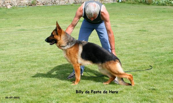 V116(BSZS'10) Billy da Festa da Hera