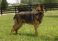 Erik Von Schultz Heidenreich