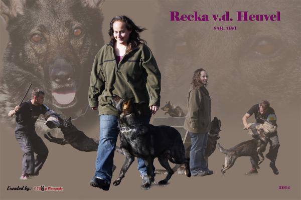 Recka van den Heuvel