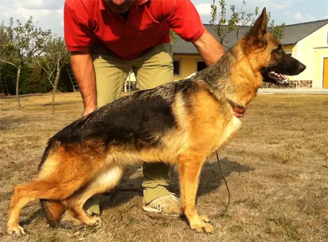 ELSA DU MAS DE LES CLUSES