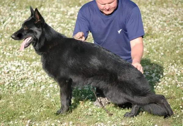 V Zilber Wasserfall Yushera