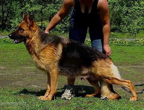 Zilber Wasserfall Lena