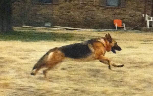 Bella Juliet Nipper