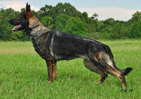 Sabina Vom Haus Juros