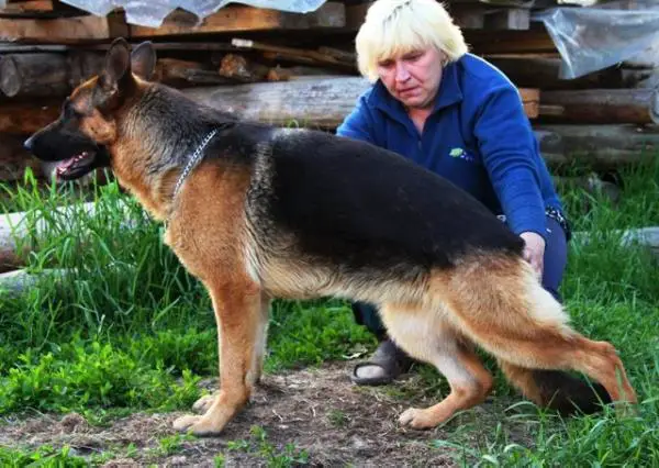 Fishka Of Flokish Fest