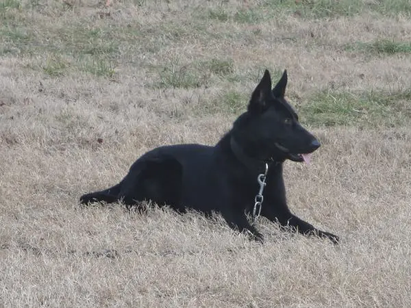 Chaos Von Der Canyon