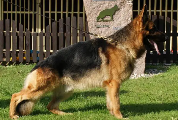 V1 Watz vom Schaumbergerland