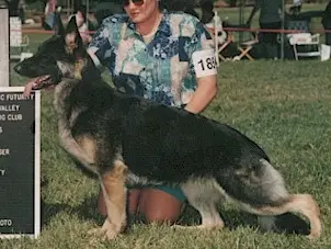 CH (US) Bodega Sunomi Covytuckerhill