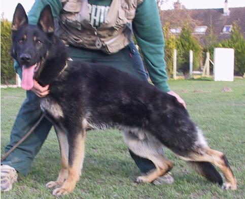 Salto Du val Des Hurles Vent