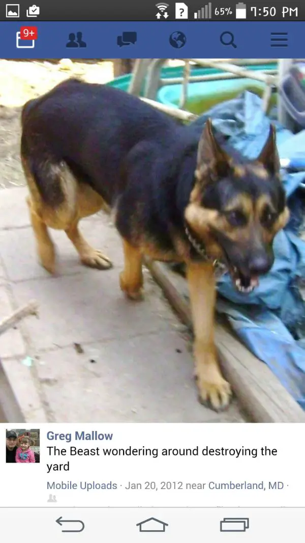 His Second Chance Of Creekside