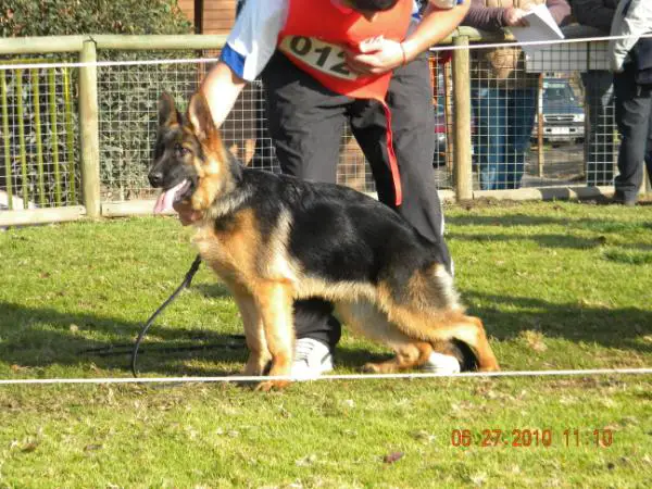 Serena von der Maxya