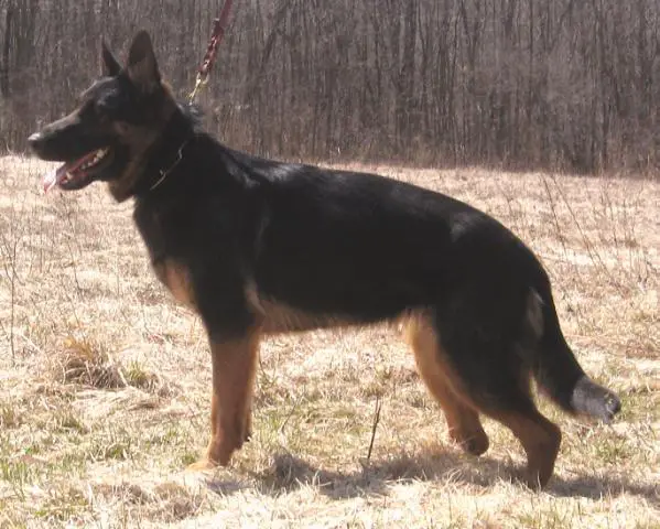 	Olympia Von Der Stadtrand