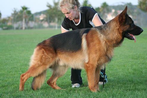 V2 Garth vom Mittelwest