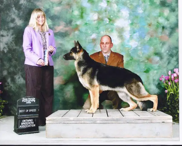 CH, ROM Chablis Stylistic Orleans Summerbreeze