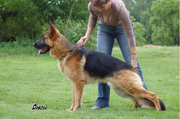 SG1 - VT Edwin Zdekra