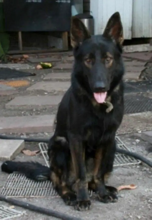 Kaiser Vom Ludwigseck