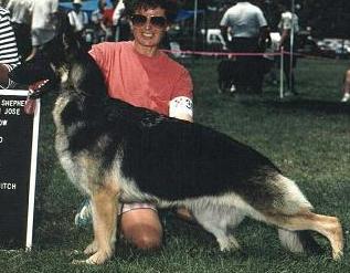 Avion Nordlicht Tracy Lord