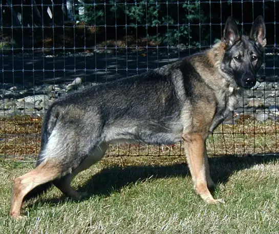 Odessa Von Schraderhaus