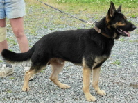 Bonzovoa Barren Berg