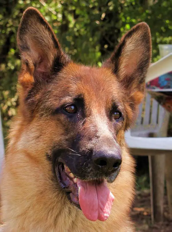 Arwen (di Casa Ralli) 2009