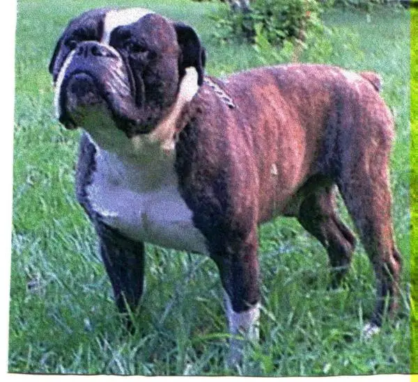 GALLANT'S DUSTY ROAD