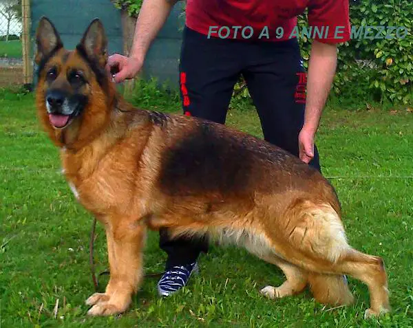 Alba (2000) LOI 01/81666